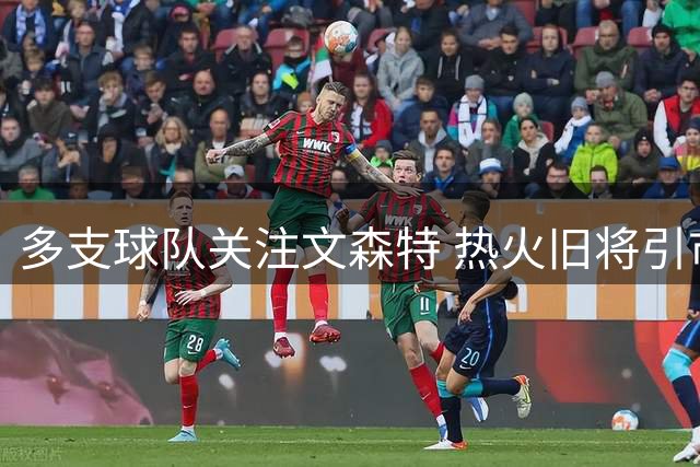 多支球队关注文森特 热火旧将引市场争夺