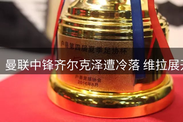 曼联中锋齐尔克泽遭冷落 维拉展开转会接触