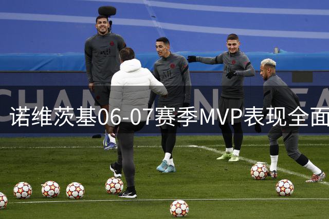 诺维茨基06-07赛季MVP表现全面统计