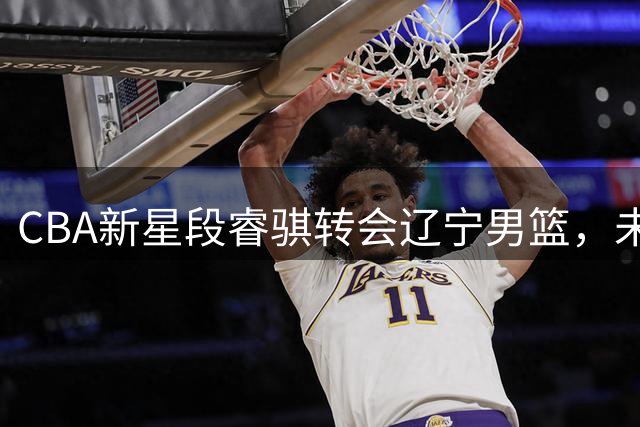CBA新星段睿骐转会辽宁男篮，未来核心雏形初现